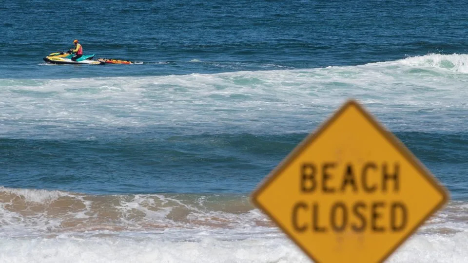 Four Shark Attacks Close Dozens of NSW Beaches After Heavy Rain — 12-Year-Old Killed
