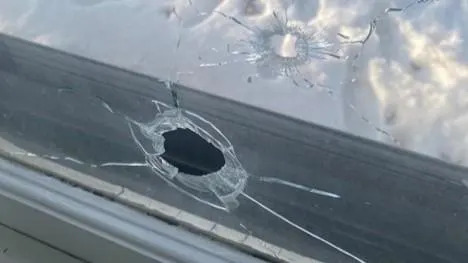 How an MIT Graduate Student Orchestrated the Murder of a Yale Grad Student