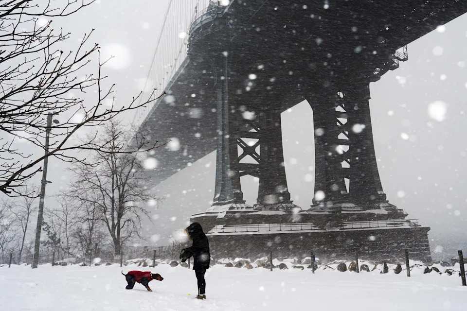 Major Winter Storm Smothers New York City, Washington, D.C. and Philadelphia — See Striking Photos