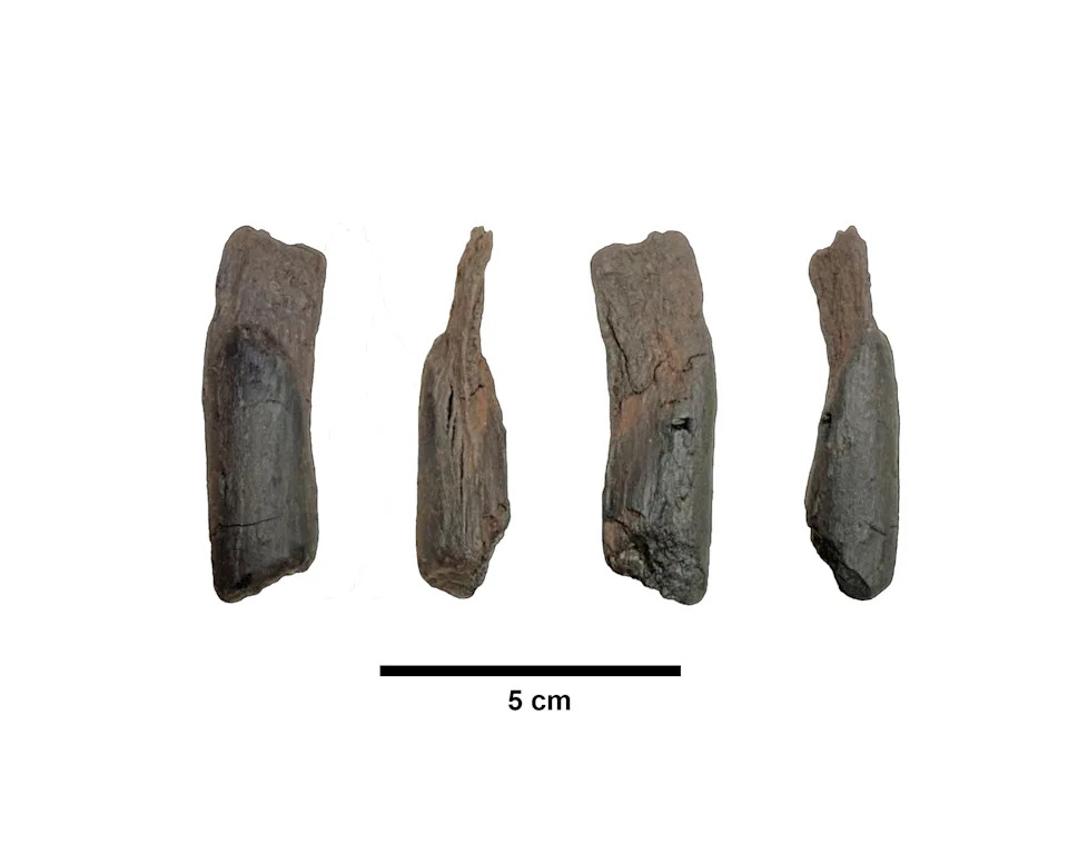 430,000‑Year‑Old Wooden Tools Recovered From Greek Lakeshore — Oldest Yet Found