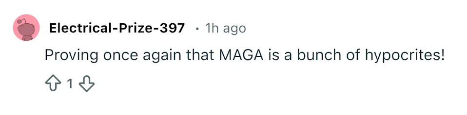 Viral Photo Of Armed MAGA Protesters Fuels Scrutiny After Alex Pretti Shooting