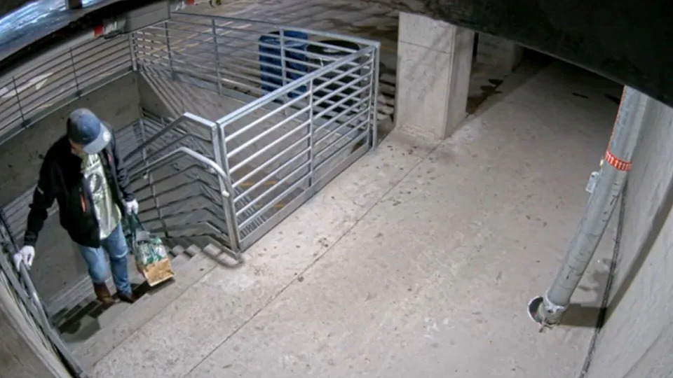 Security Video, Digital Forensics and DNA Tie Veterinarian to Masked Killing in Intel Parking Garage