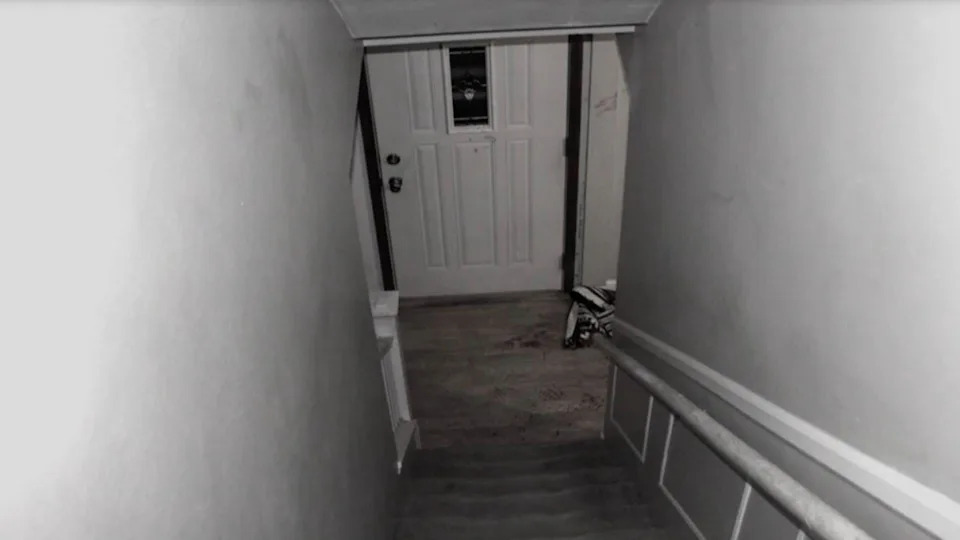 Accused Wife: Fatal Fall or Homicide? The Case and Trial of Alison and Kevin Davis