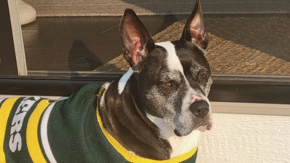 Accused Wife: Fatal Fall or Homicide? The Case and Trial of Alison and Kevin Davis