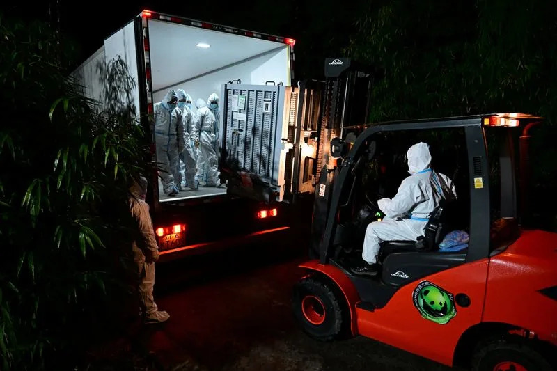 Japan Loses Resident Pandas As Ueno-Born Twins Xiao Xiao And Lei Lei Return To China Amid Strained Ties