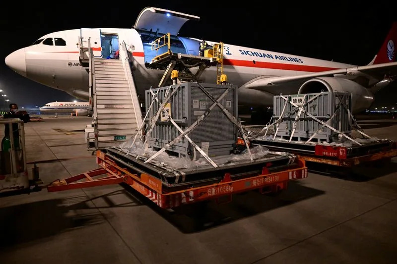 Japan Loses Resident Pandas As Ueno-Born Twins Xiao Xiao And Lei Lei Return To China Amid Strained Ties