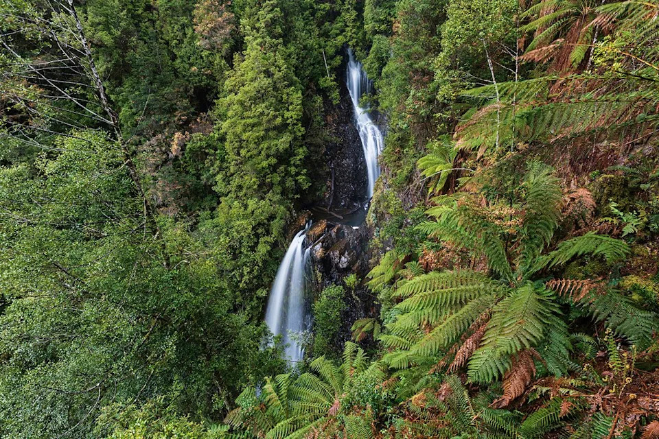 Human Remains Found Near Philosopher Falls During Search for Missing Belgian Tourist Celine Cremer