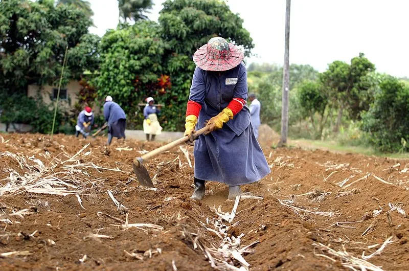 China Tops Donor Rankings For Small Island States As Western Aid Falls