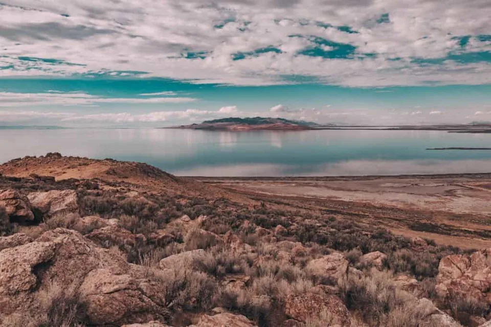Tiny Survivor in a Salt Sea: New Nematode Discovered in Utah’s Great Salt Lake