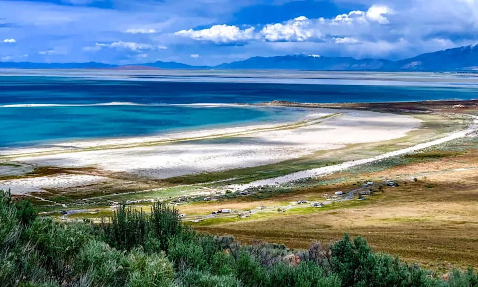 Tiny Survivor in a Salt Sea: New Nematode Discovered in Utah’s Great Salt Lake