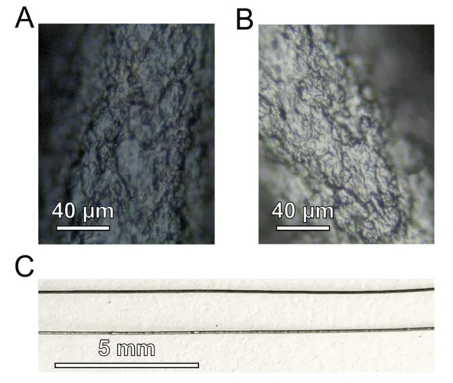 Did Edison Accidentally Make Graphene 125 Years Early? New Study Recreates 1879 Bulb Tests