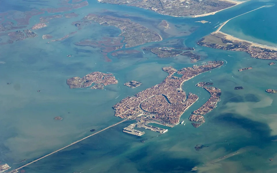 Venice Overrun by Cannibalistic Warty Comb Jelly, Threatening Fisheries