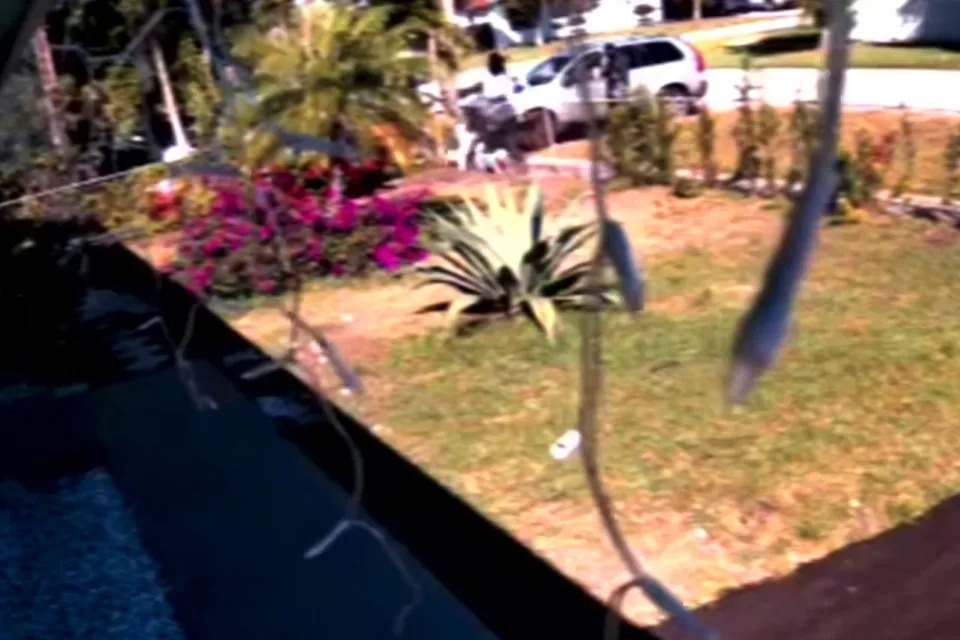 Video Leads to Arrest: Florida Mail Carrier Charged With Pepper-Spraying Three Dogs