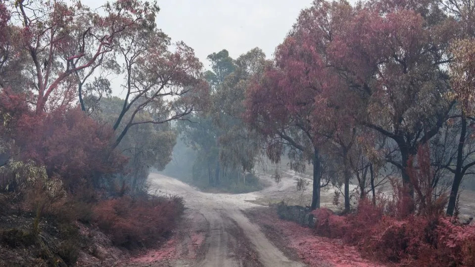 Australia’s Hottest Towns Near 50°C as Heat Wave, Wildfires and Power Cuts Ravage Victoria