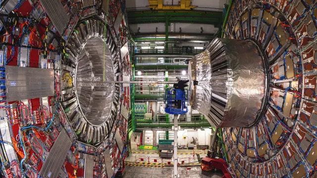 LHC Finds Primordial 