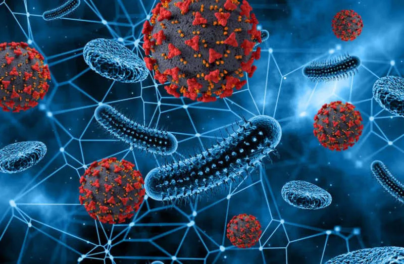 Ancient Colombian Tibia Yields Oldest Treponema pallidum Genome — Rewriting The Timeline For Treponemal Infections