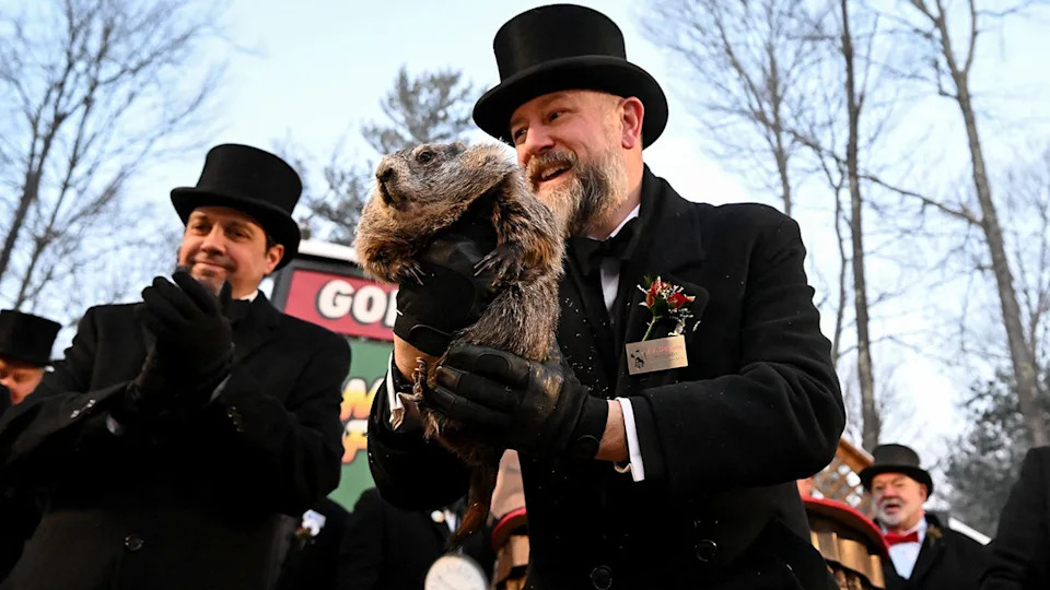 Bipartisan Backlash After PETA Calls To Retire Punxsutawney Phil — Officials Defend Beloved Tradition