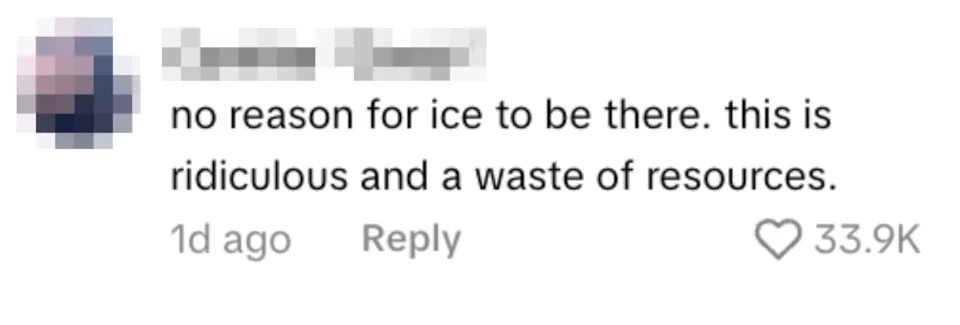 Italians Confront U.S. ICE Agents at Winter Olympics — Viral Videos Ignite Debate Over Sovereignty and Security