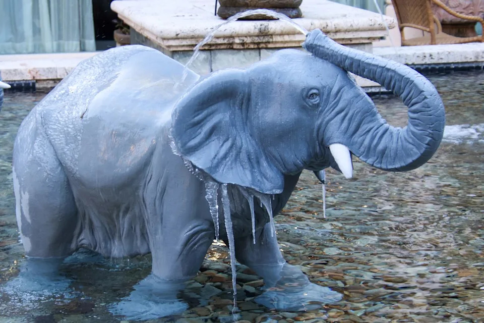 Rare Freeze Turns Disney World and Universal Orlando Into Winter Scenes — Icicles Form as Orlando Drops to 24°F