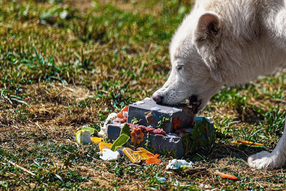 Colossal BioVault: Colossal Biosciences and UAE Build a ‘Modern-Day Noah’s Ark’ for Endangered Species