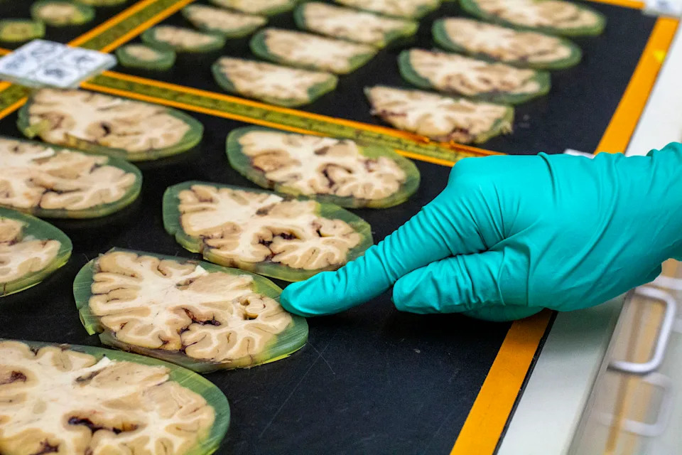 Courts and Congress Block Sweeping Cuts — U.S. Science Funding Largely Preserved