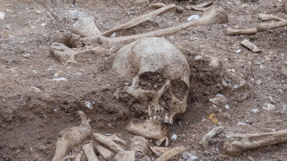 Mass Grave Near Cambridge Reveals Violent Deaths From Anglo‑Saxon Era