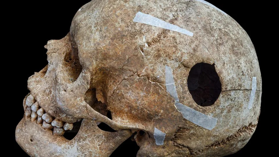 Mass Grave Near Cambridge Reveals Violent Deaths From Anglo‑Saxon Era