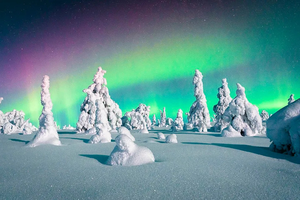 Northern Lights Tonight: How To Watch As Aurora Could Reach 11 U.S. States