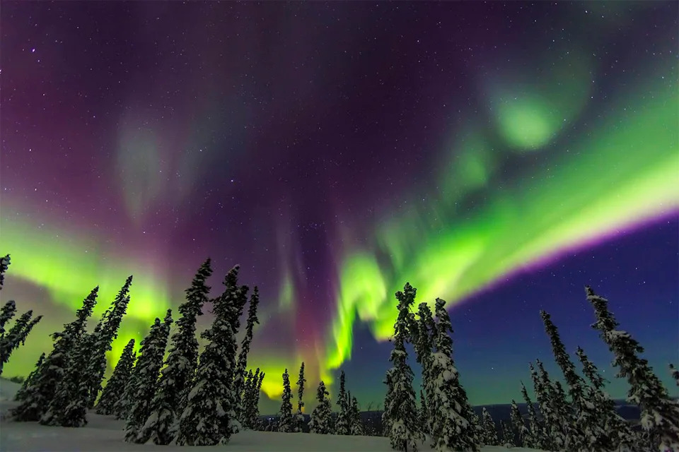 Northern Lights Tonight: How To Watch As Aurora Could Reach 11 U.S. States