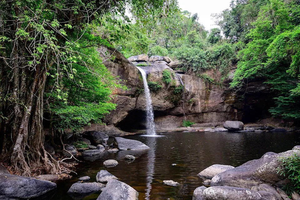 Khao Yai Campsite Closed After Wild Bull Elephant Kills Tourist — Same Elephant Linked To Third Fatality