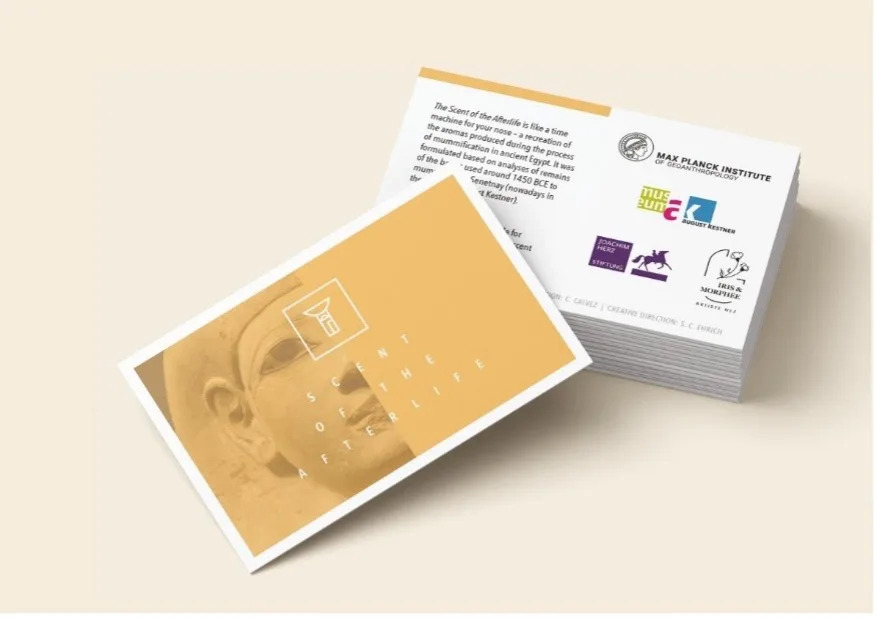 Museums Recreate How Ancient Egyptian Mummies Smelled — Science Brings the Past to the Nose