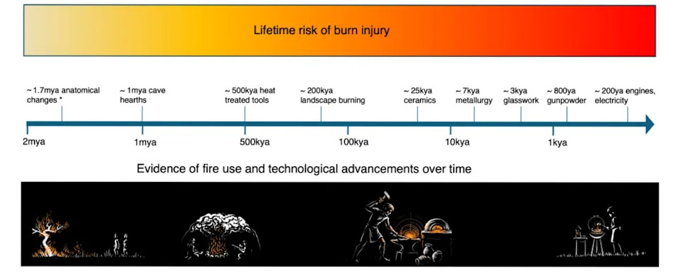 Fire May Have Shaped Human DNA — How Habitual Fire Use Could Have Driven Genetic Change