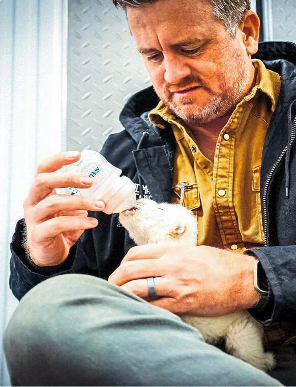 Colossal Biosciences’ De‑Extinction Breakthroughs: Dire Wolves Born and a Woolly Mouse Points Toward Mammoth Revival