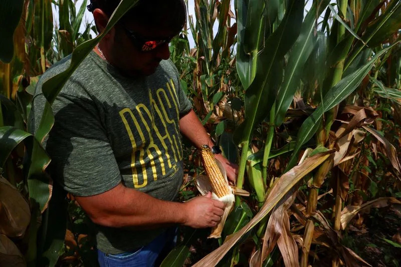 ‘A Blessing’: Light Rains Give Argentine Farmers Relief — But Harvest Risks Remain