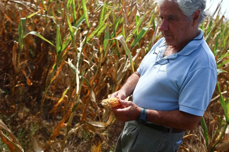 ‘A Blessing’: Light Rains Give Argentine Farmers Relief — But Harvest Risks Remain