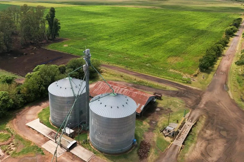 ‘A Blessing’: Light Rains Give Argentine Farmers Relief — But Harvest Risks Remain
