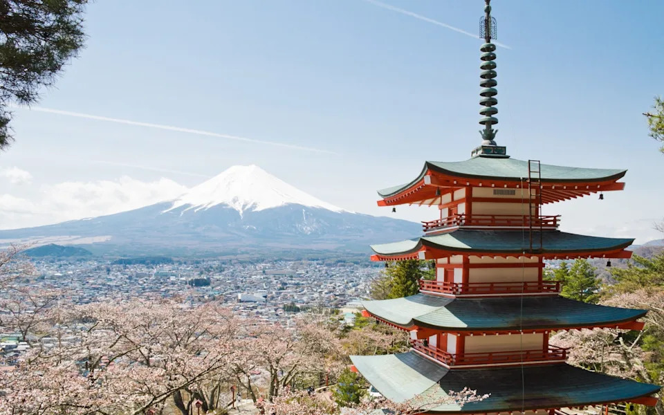 Mount Fuji Cherry Blossom Festival Cancelled After Reports Of Tourist Misconduct