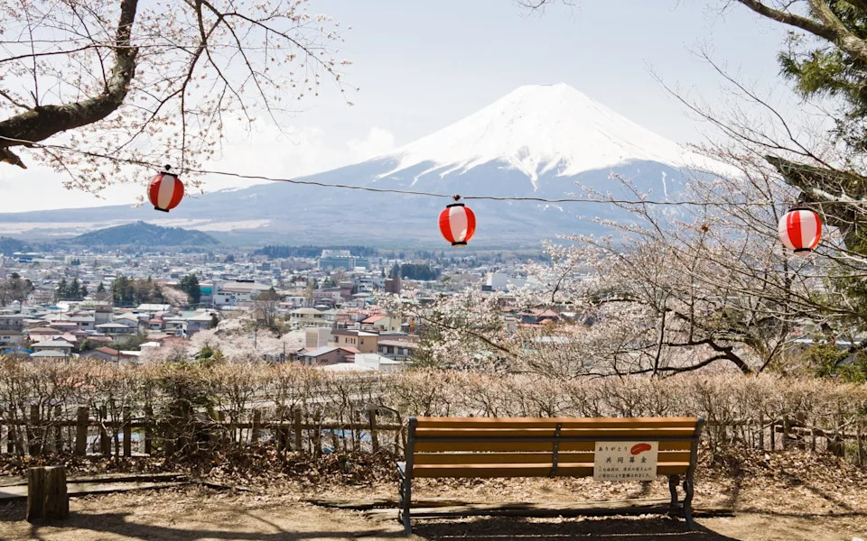 Mount Fuji Cherry Blossom Festival Cancelled After Reports Of Tourist Misconduct