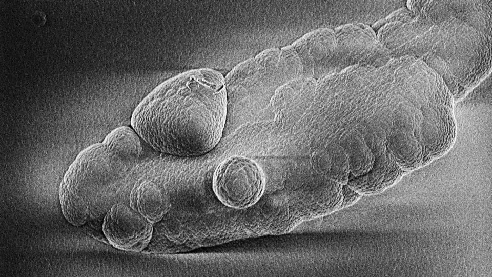 PhD Student Recreates Cosmic Dust in a Lab, Offering New Clues to the Origins of Life