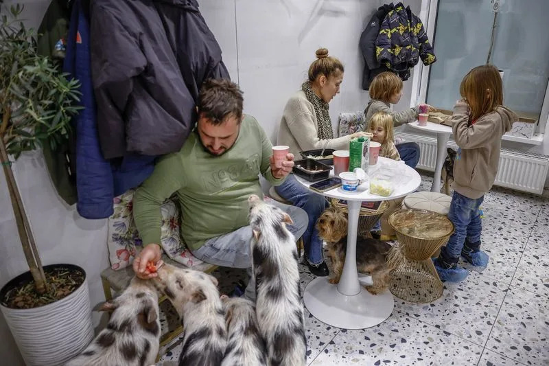 Sleeping Among Pigs: Kyiv Family Turns Café Into Home After Severe Power Cuts