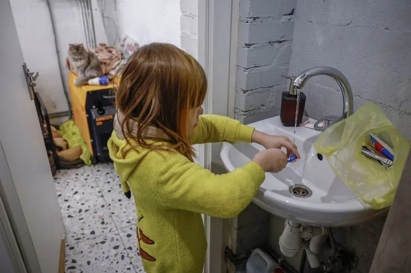Sleeping Among Pigs: Kyiv Family Turns Café Into Home After Severe Power Cuts