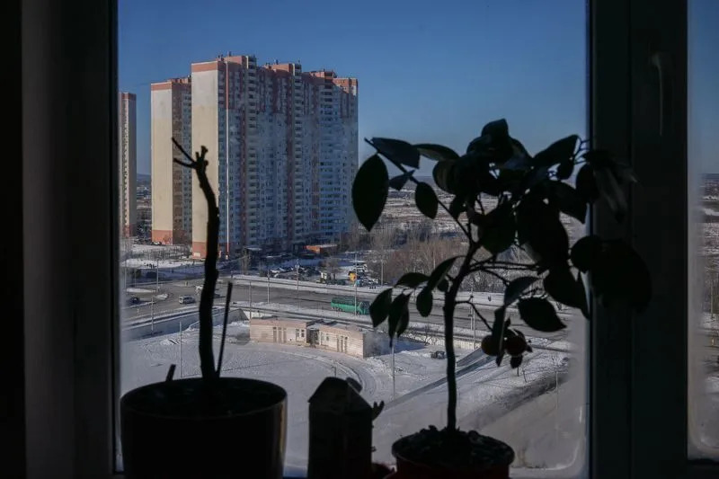 Sleeping Among Pigs: Kyiv Family Turns Café Into Home After Severe Power Cuts