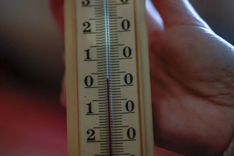 Sleeping Among Pigs: Kyiv Family Turns Café Into Home After Severe Power Cuts