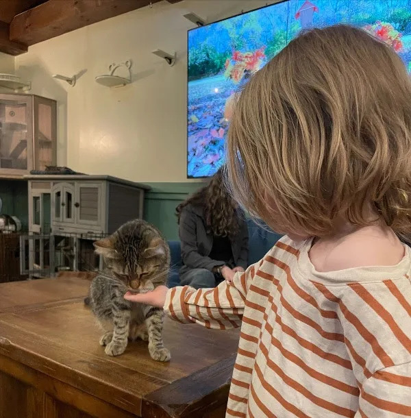 GAO: Paid Leave From Trump-Era Education Dept. Cuts Cost At Least $38M — Students Left Waiting