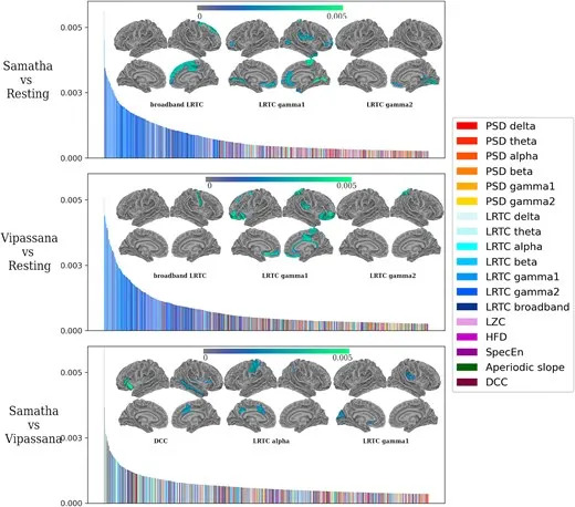 Meditacija Može Preoblikovati Aktivnost Mozga — Studija Pokazuje Kako Vipassana Dovodi Do 'Kritičnosti' Mozga