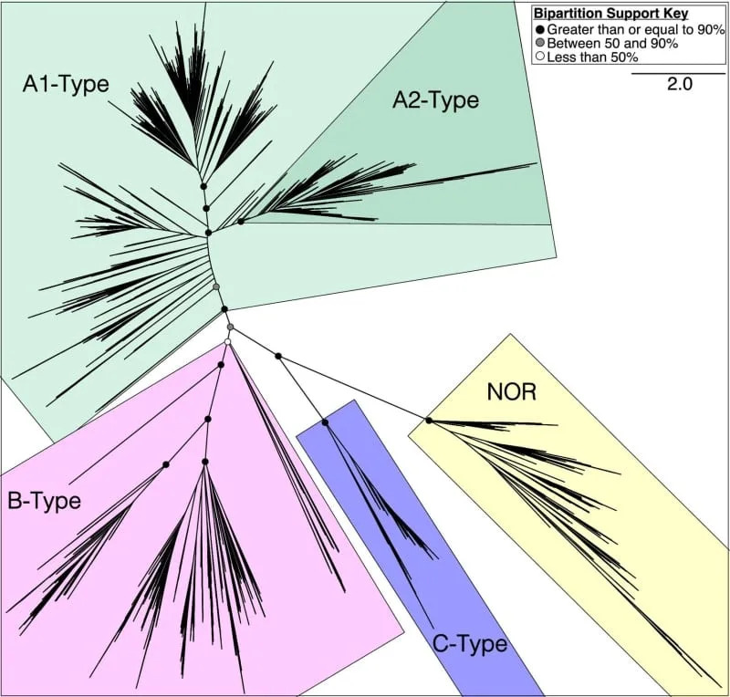 Studija pokazuje: mikrobi su koristili kiseonik mnogo ranije — između 3,2 i 2,8 milijardi godina
