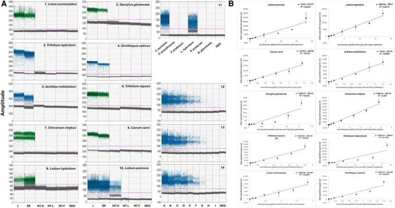 DNA Breakthrough Reveals Hidden Life of Plant Roots — New Soil Test Measures Root Biomass and Species