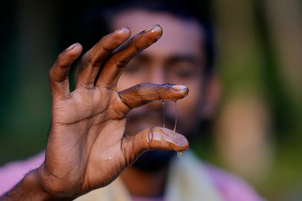 Migratorni pčelari u Assamu: Cvetovi, poplave i borba za med