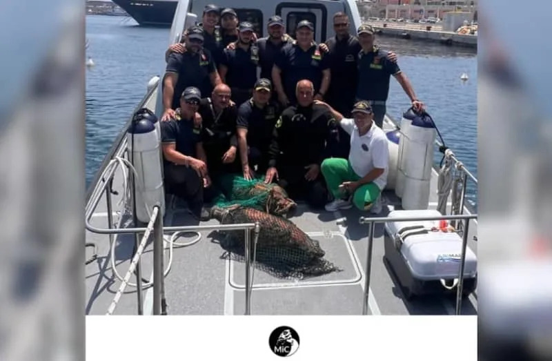 Fourth-Century Roman Shipwreck Carrying Priceless Garum Amphoras Found Off Gallipoli, Italy