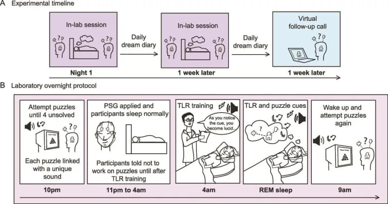 Usmereni snovi u REM fazi mogu udvostručiti šanse za rešavanje zagonetki